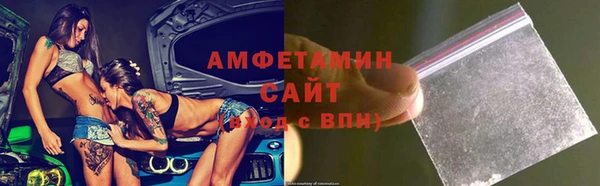 стаф Алзамай