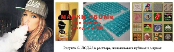 стаф Алзамай