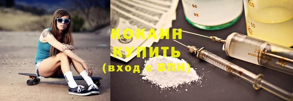 стаф Алзамай