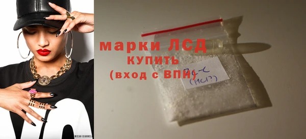 стаф Алзамай
