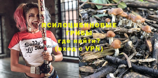 стаф Алзамай