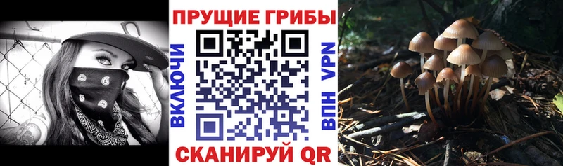 Псилоцибиновые грибы Magic Shrooms  Алексин 